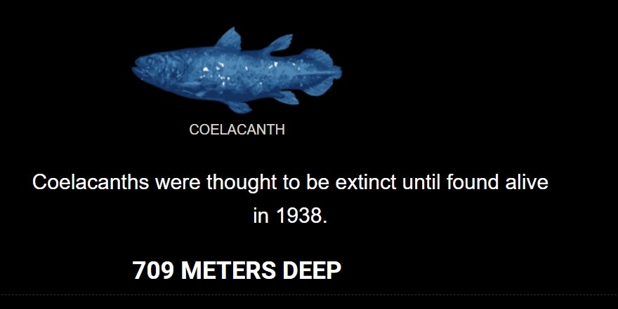 Deep Sea