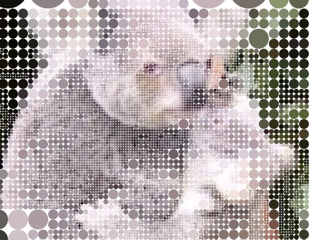 Koala to the Max