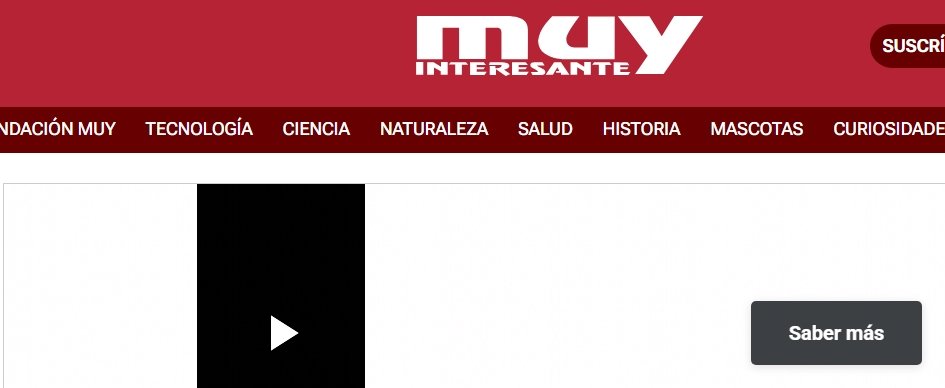 muy interesante