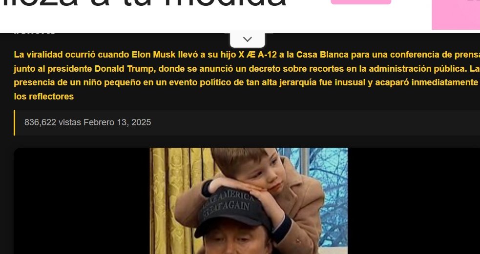 Vídeos Virales del 2025